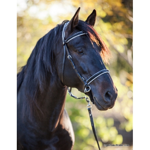 Lightrider Leather Dressage Bitless Bridle