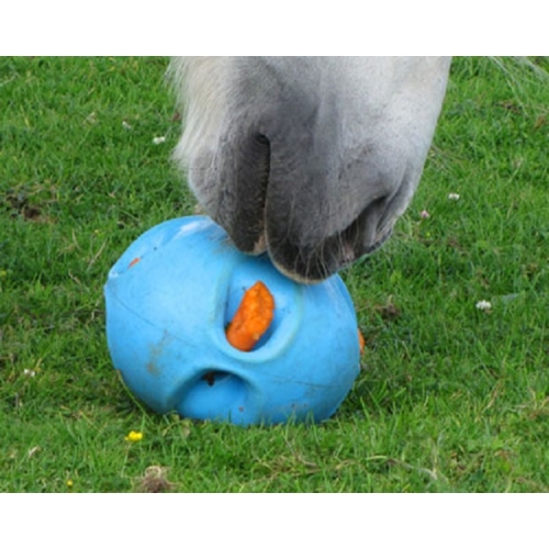 carrot ball for horses